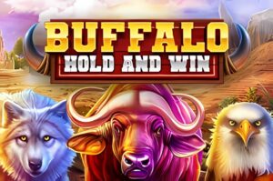 Buffalo Hold and Win Slot