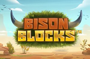 Bison Blocks Slot