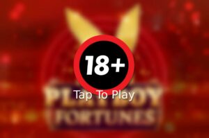 Playboy Fortunes Slot