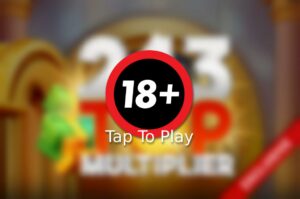 243 Top Multiplier Slot