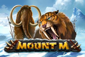 Mount M Slot